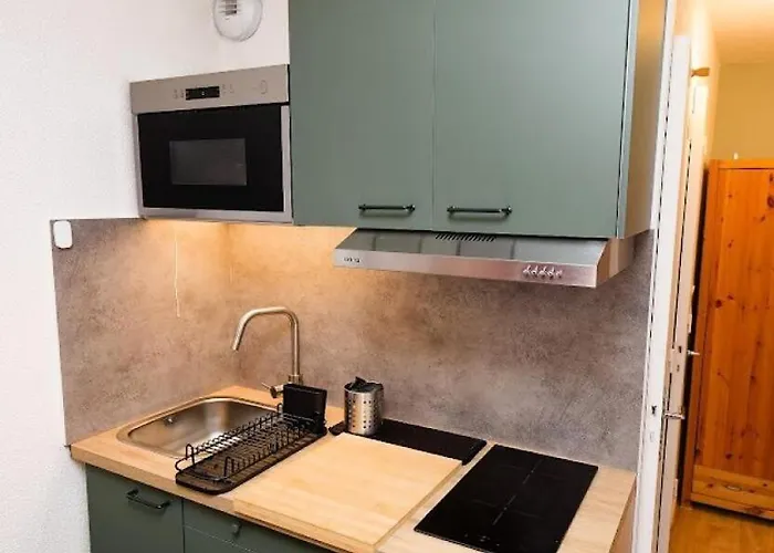 Vanoise - 3 Personnes Plein Centre Et Au Pied Des Pistes Mae-7784 *